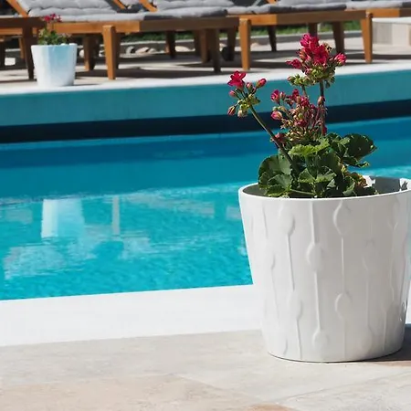 Evridiki Hotel Skála Foúrkas